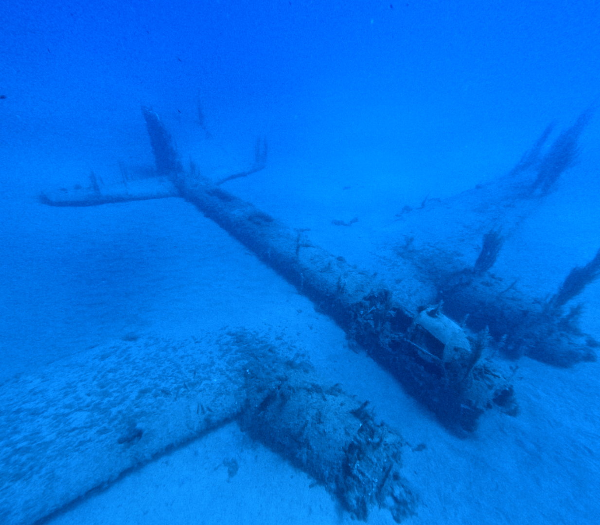 Unearthing WWII: Newly Discovered Junkers Ju-88 Airplane Wreck in ...